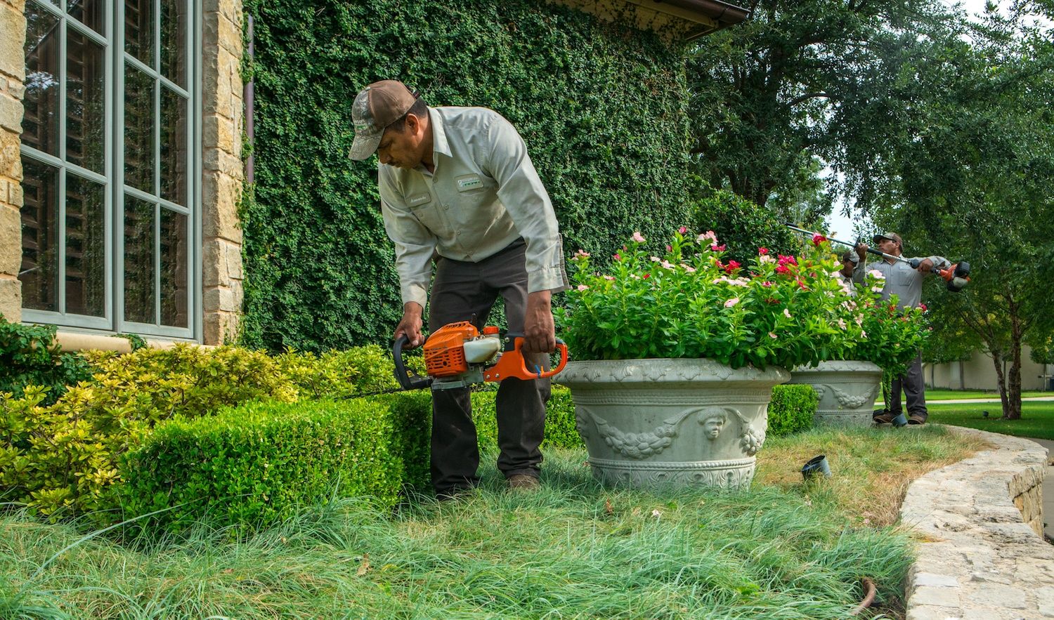 grassperson crew bush shrub trimming trimmer 1
